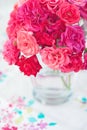 Beautiful tea roses Royalty Free Stock Photo