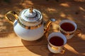 Beautiful tea set, porcelain teapot Royalty Free Stock Photo