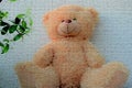 Beautiful teddy bear sitting on a light background close up