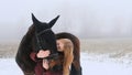 A beautiful teenage girl playfully kisses a brown horse in a foggy field. Royalty Free Stock Photo