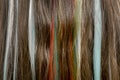 Beautiful teenage hairstyle. Rebellious style. Hair with multi-colored strands. Selection.