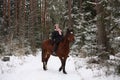 Beautiful teenager girl riding brown horse in the forest Royalty Free Stock Photo