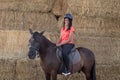 Beautiful teenager with his horse learning to ride Royalty Free Stock Photo