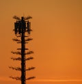 beautiful telkom tower photo in the afternoon