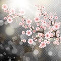 Beautiful template sakura flowers. EPS 10