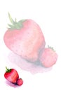 Beautiful template with strawberry. Series of Cards, Blanks and Forms