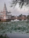 A beautiful temple with a lots of lotus Royalty Free Stock Photo