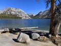 The beautiful Tenaya Lake located on the Tioga Pass, the road through Yosemite National Park Royalty Free Stock Photo