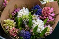 Beautiful tender blossoming of fresh cut bouquet of Hyacinths