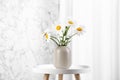 Beautiful tender chamomile flowers in vase on table indoors Royalty Free Stock Photo