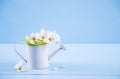 Beautiful tender flowering branch and little white watering can