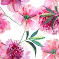 Beautiful tender gentle wonderful lovely cute spring floral herbal peonies with green leaves pattern watercolor hand sketch