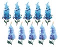 Beautiful tender gorgeous bright lovely floral herbal spring delphiniums with green leaves pattern watercolor