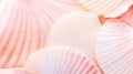 Beautiful tender pink sea shells background