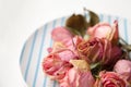 Beautiful tender sad depression dry pink roses on a blue and white plate Royalty Free Stock Photo