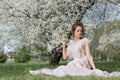 Beautiful tender sweet girl in a pink dress with a hairdo near blossoming tree on a sunny spring day