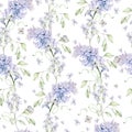 Beautiful tender watercolor seamless pattern with different flowers of hyacinth, tulips, violet. Illustration