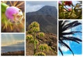Beautiful Tenerife nature and landscape collage style background.Travel concept. Royalty Free Stock Photo