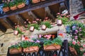 Beautiful terrace or balcony with flowers in the medieval town of Puebla de Sanabria. Spain. Royalty Free Stock Photo