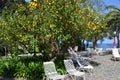 Beautiful Terrace with lemon trees overlooking the sea in Sorrento Italy Royalty Free Stock Photo