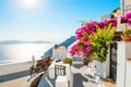 Beautiful terrace with pink flowers, Santorini island, Greece