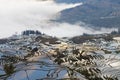 Beautiful terraced field landscape at dusk