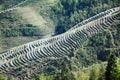 Beautiful terraced fields Royalty Free Stock Photo