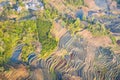 Beautiful terraced fields in spring Royalty Free Stock Photo