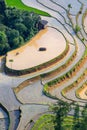 Beautiful terraced rice field in Hoang Su Phi in Vietnam