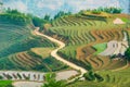 Beautiful terraced rice field in Lao cai province in Vietnam Royalty Free Stock Photo