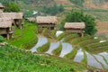 Beautiful terraced rice field in Lao cai province in Vietnam Royalty Free Stock Photo