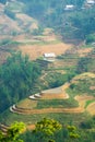 Beautiful terraced rice field in Lao cai province in Vietnam Royalty Free Stock Photo