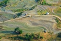 Beautiful terraced rice field in Lao cai province in Vietnam Royalty Free Stock Photo