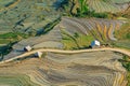 Beautiful terraced rice field in Lao cai province in Vietnam Royalty Free Stock Photo