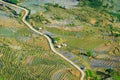 Beautiful terraced rice field in Lao cai province in Vietnam Royalty Free Stock Photo