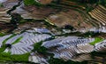 Beautiful terraced rice field in Mu Cang Chai, Vietnam