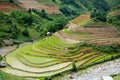 Beautiful terraced rice field in Mu Cang Chai, Vietnam