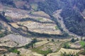 Beautiful terraced rice field in water pulling season in Y Ty, Bat Xat, Lao cai province in Vietnam Royalty Free Stock Photo