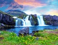 Beautiful terrific landscape with yellow flowers and big stone near waterfall Kirkjufell in Iceland at sunset. Exotic countries. Royalty Free Stock Photo