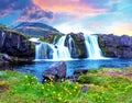 Beautiful terrific landscape with yellow flowers and big stone near waterfall Kirkjufell in Iceland at sunset. Exotic countries. Royalty Free Stock Photo