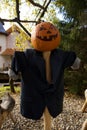 Beautiful and terrifying Halloween scarecrow with pumpkin for head built in park