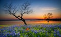 Beautiful Texas spring sunset over a lake Royalty Free Stock Photo