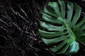 beautiful texture of black marble stone with monstera leaf.