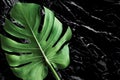 beautiful texture of black marble stone with monstera leaf