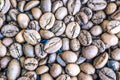 Beautiful texture of freshly roasted selected delicious rich brown natural fragrant coffee tree grains, Arabica coffee beans Royalty Free Stock Photo