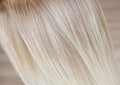 beautiful texture of hair dyed in light blonde