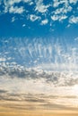 Beautiful texture of the sunset sky. Small feathery spring clouds. Vertical cloud photo