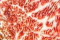 Beautiful texture of wagyu beef are close up Royalty Free Stock Photo