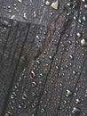 Beautiful textured background of water droplets on the black wood surface Royalty Free Stock Photo