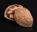 A beautiful textured hard walnut in a shell with half a beautiful walnut kernel inside on a black background. Royalty Free Stock Photo